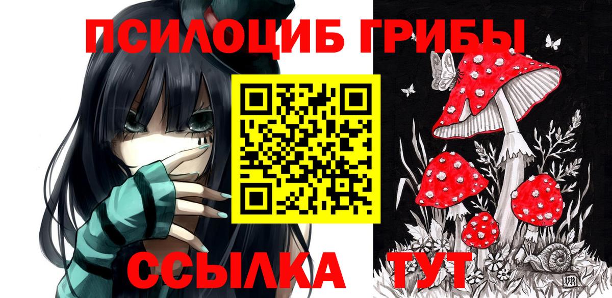 Псилоцибиновые грибы Cubensis  Псилоцибиновые грибы прущие грибы  Камышин  Вход с VPN 